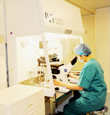 生殖醫(yī)學(xué)實(shí)驗(yàn)室