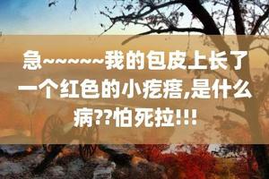 呼和浩特包皮上長疙瘩怎么治療(包頭男科醫院都有哪些) 呼和浩特包皮上長疙瘩怎么治療(包頭男科醫院都有哪些)