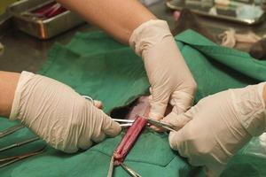 呼和浩特包皮手術后流(小孩環切手術后恢復圖)